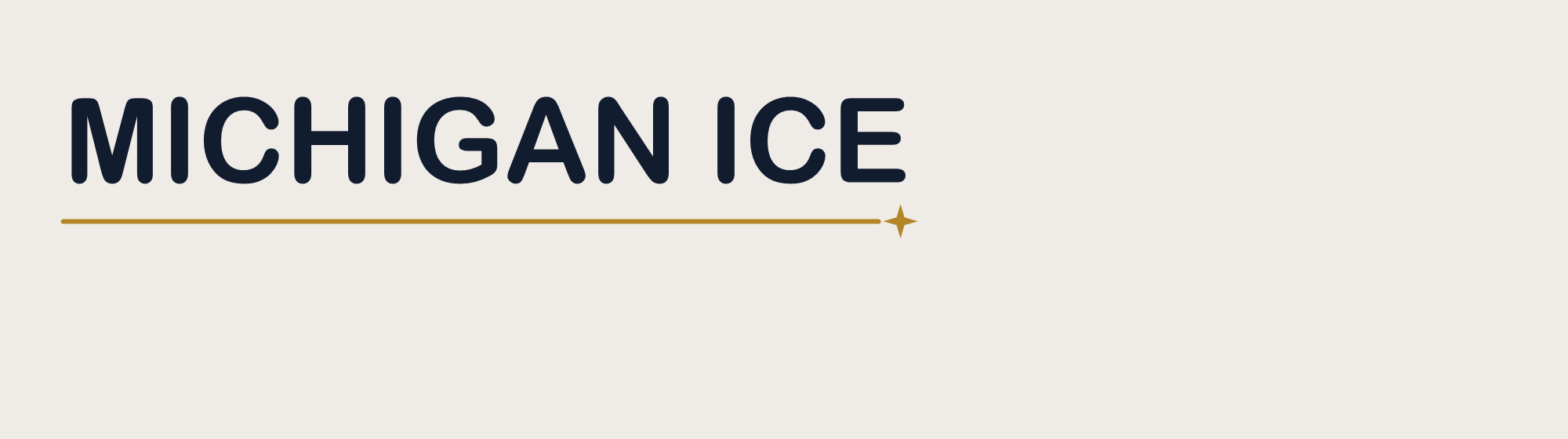 Michigan Ice wordmark